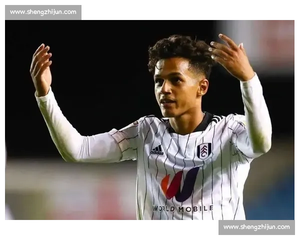 富勒姆赛季总结：中游韧性，蓄力新征程！